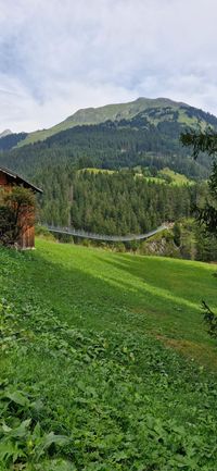 H&auml;ngebr&uuml;cke bei Holzgau (3)