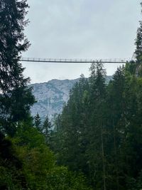 H&auml;ngebr&uuml;cke bei Holzgau